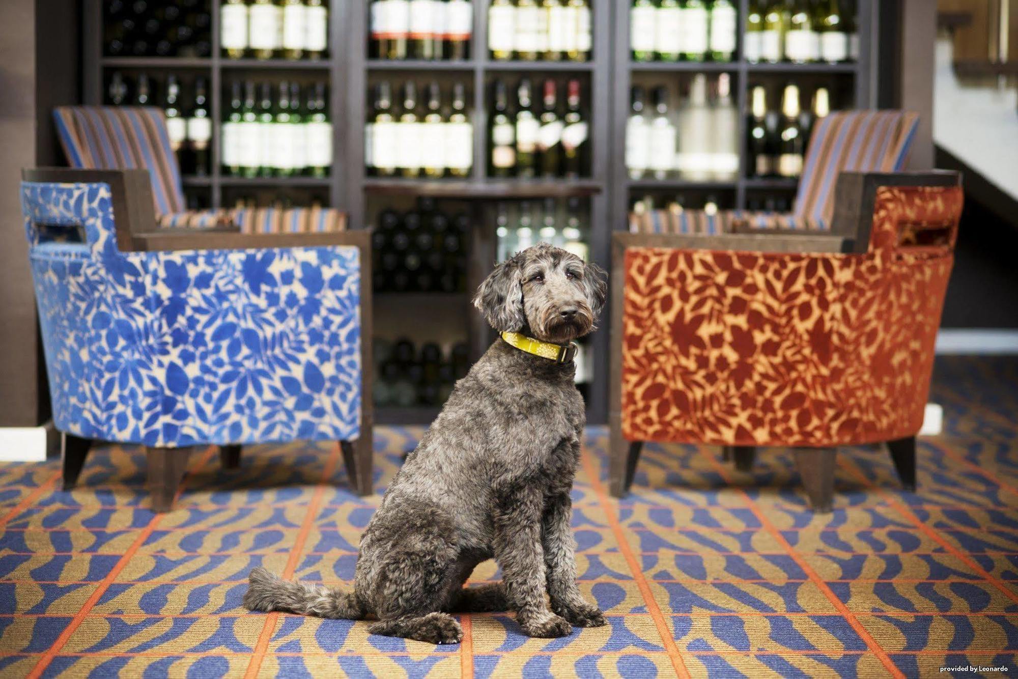 Best Western Aberavon Beach Hotel ポート・タルボット エクステリア 写真
