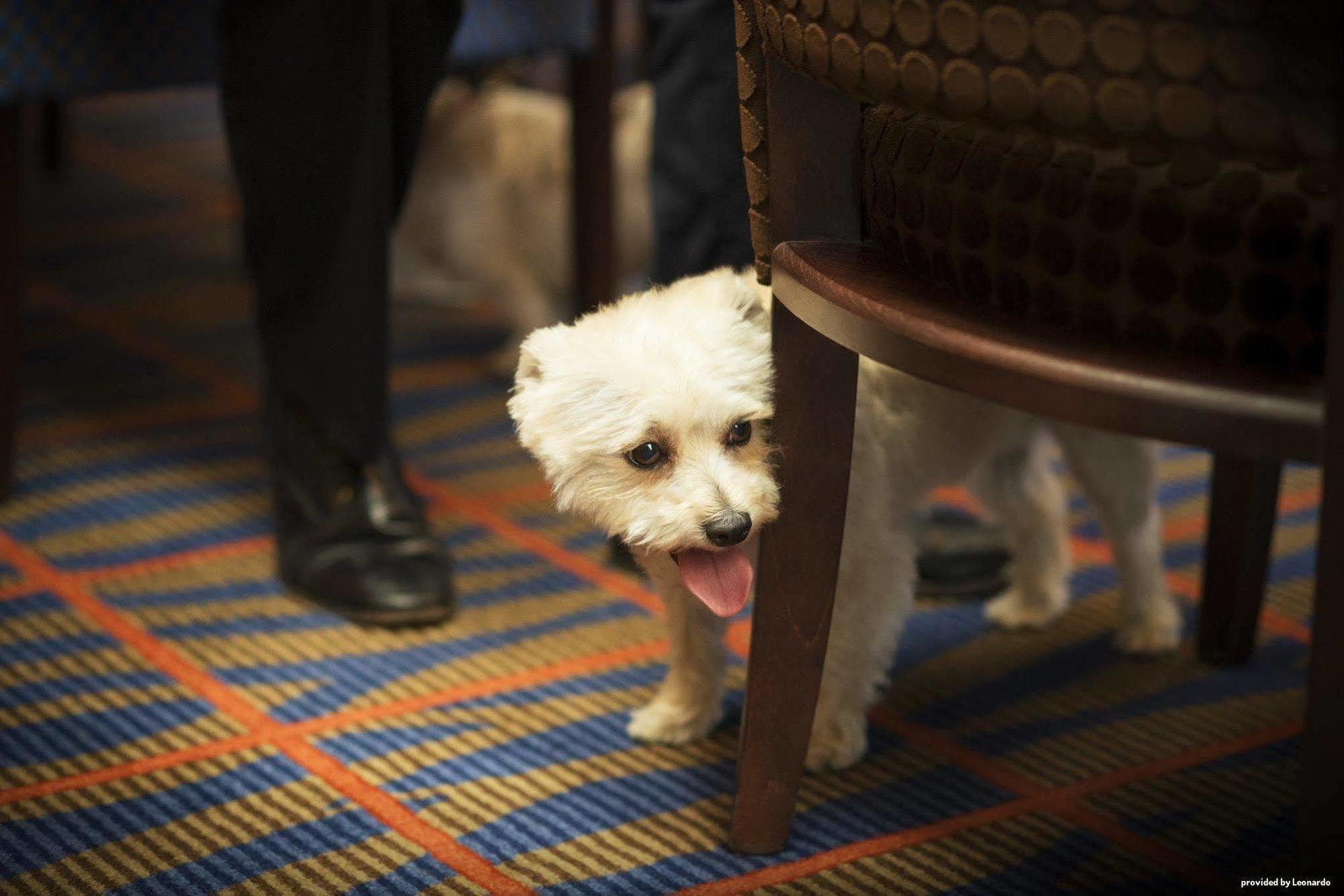 Best Western Aberavon Beach Hotel ポート・タルボット エクステリア 写真