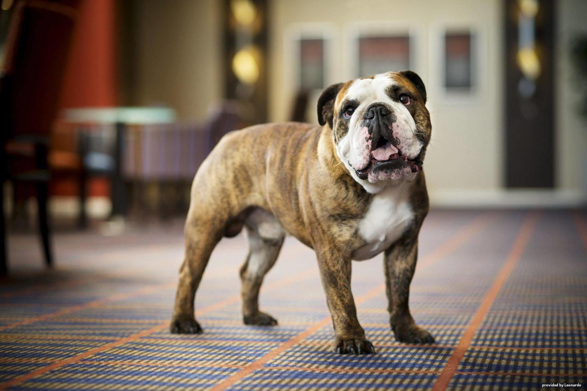 Best Western Aberavon Beach Hotel ポート・タルボット エクステリア 写真